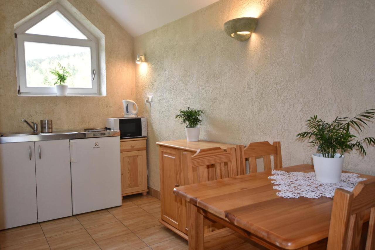 Apartamenty Czyrna Przy Gondoli Szczyrk Εξωτερικό φωτογραφία